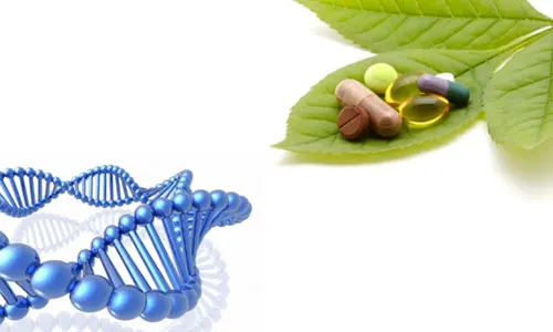 Ortomolecular